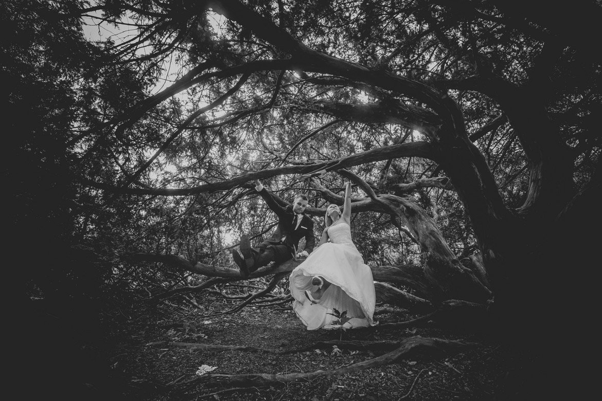 plener ślubny wrocław