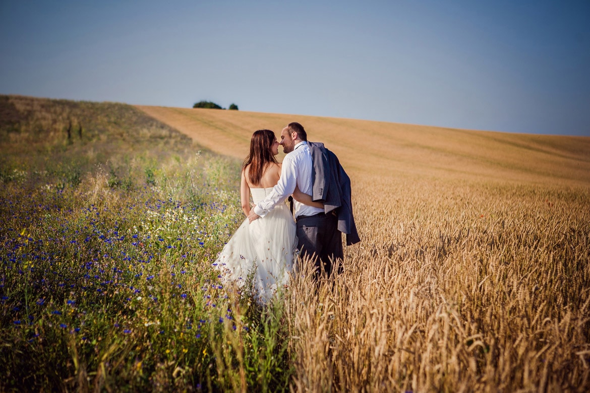 plener ślubny w słonecznikach