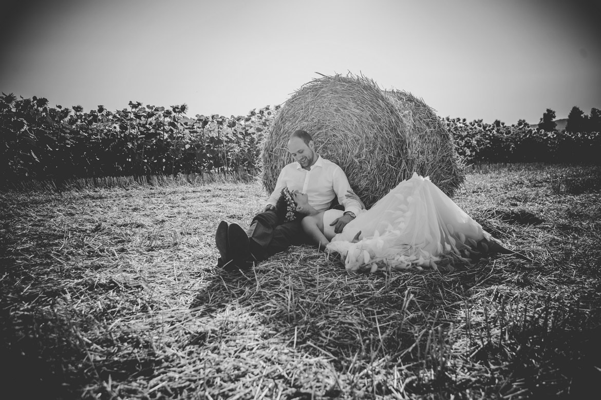 zdjęcia ślubne na polu