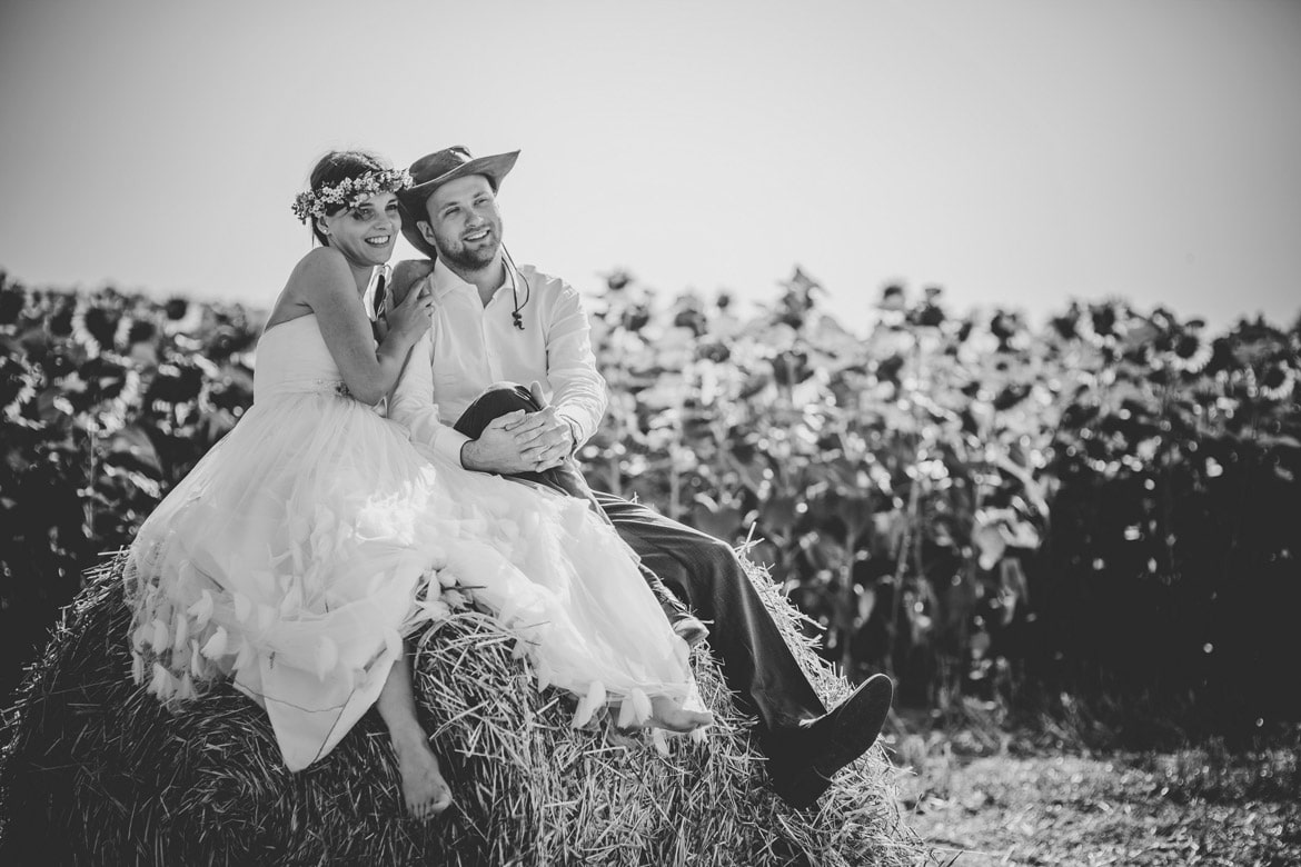 zdjęcia ślubne na polu