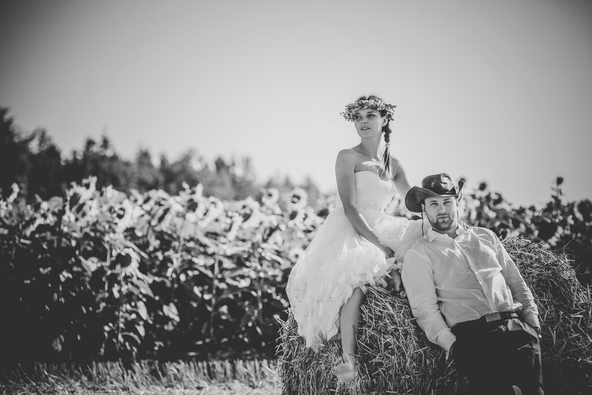 zdjęcia ślubne na polu