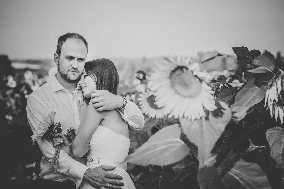 plener ślubny w słonecznikach