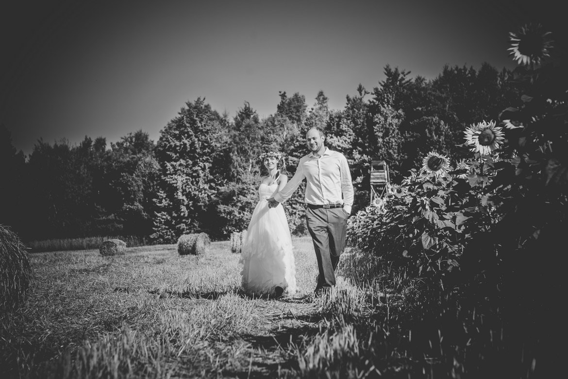 plener ślubny w słonecznikach