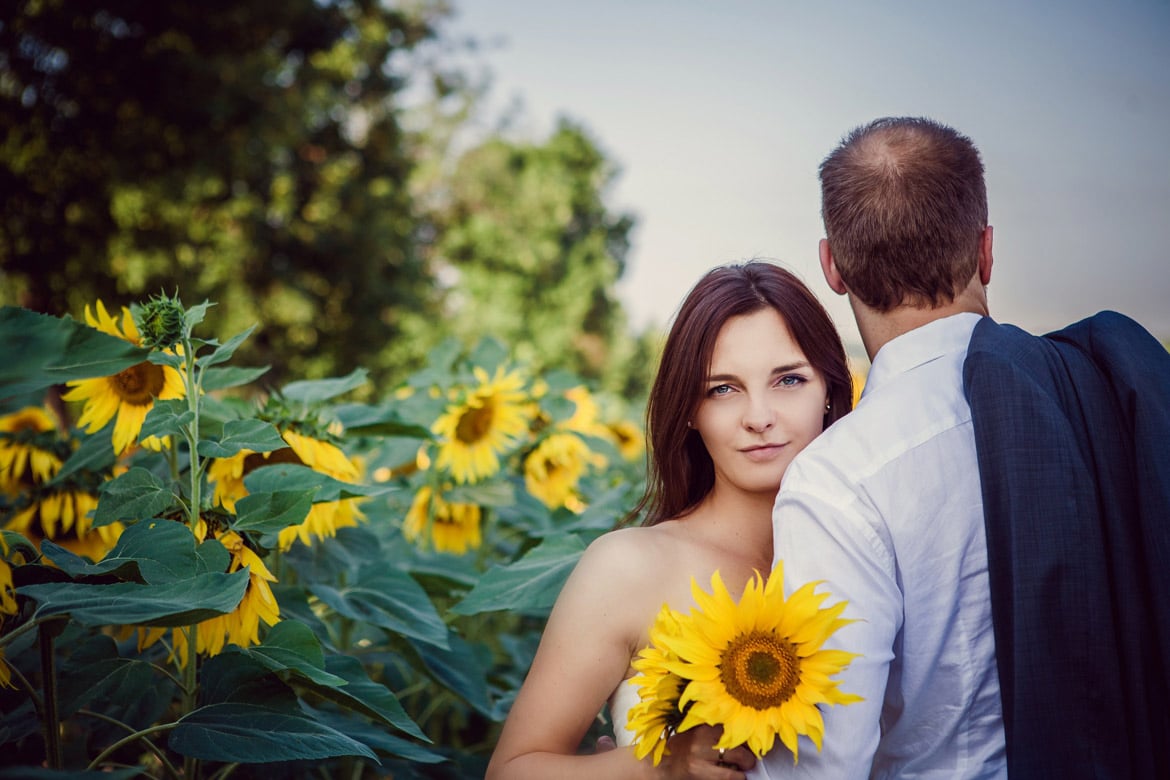 plener ślubny w słonecznikach