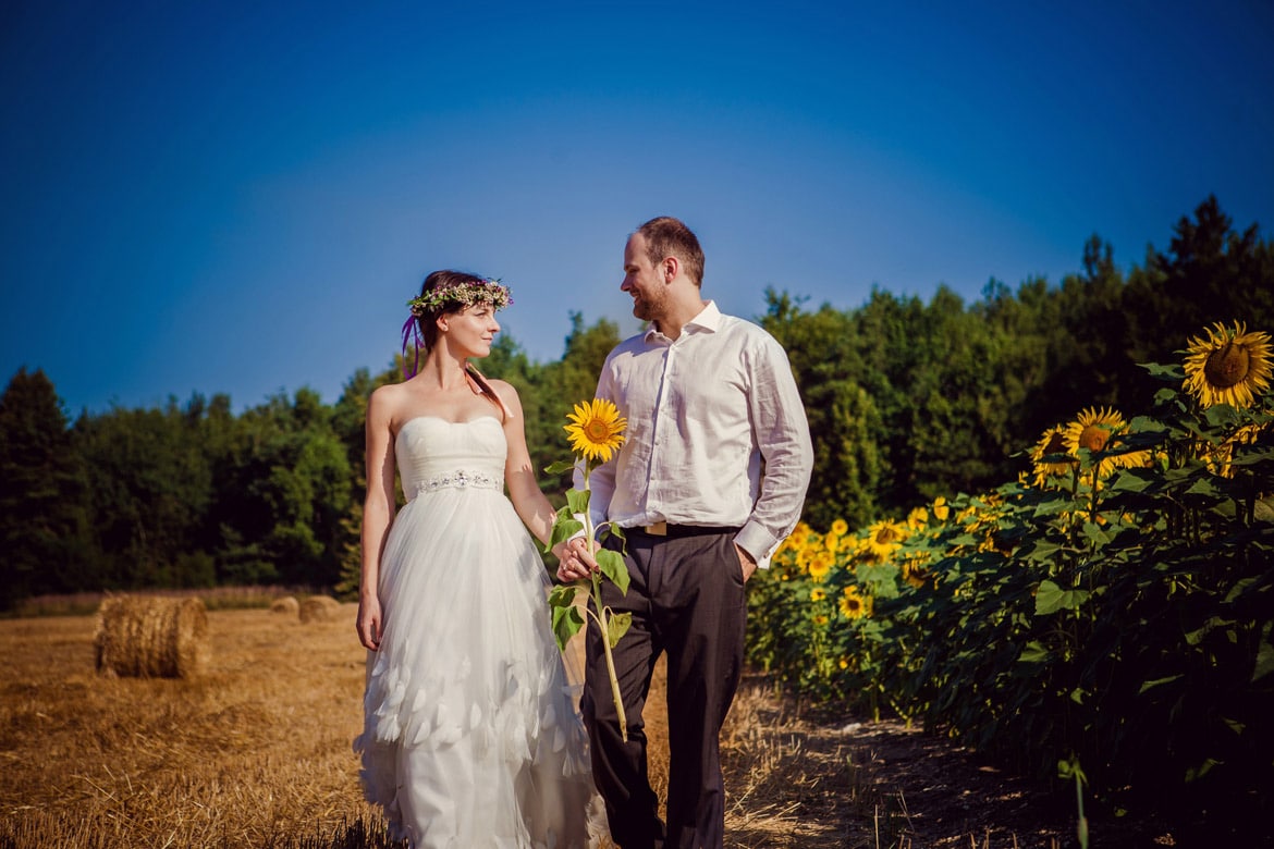 plener ślubny w słonecznikach