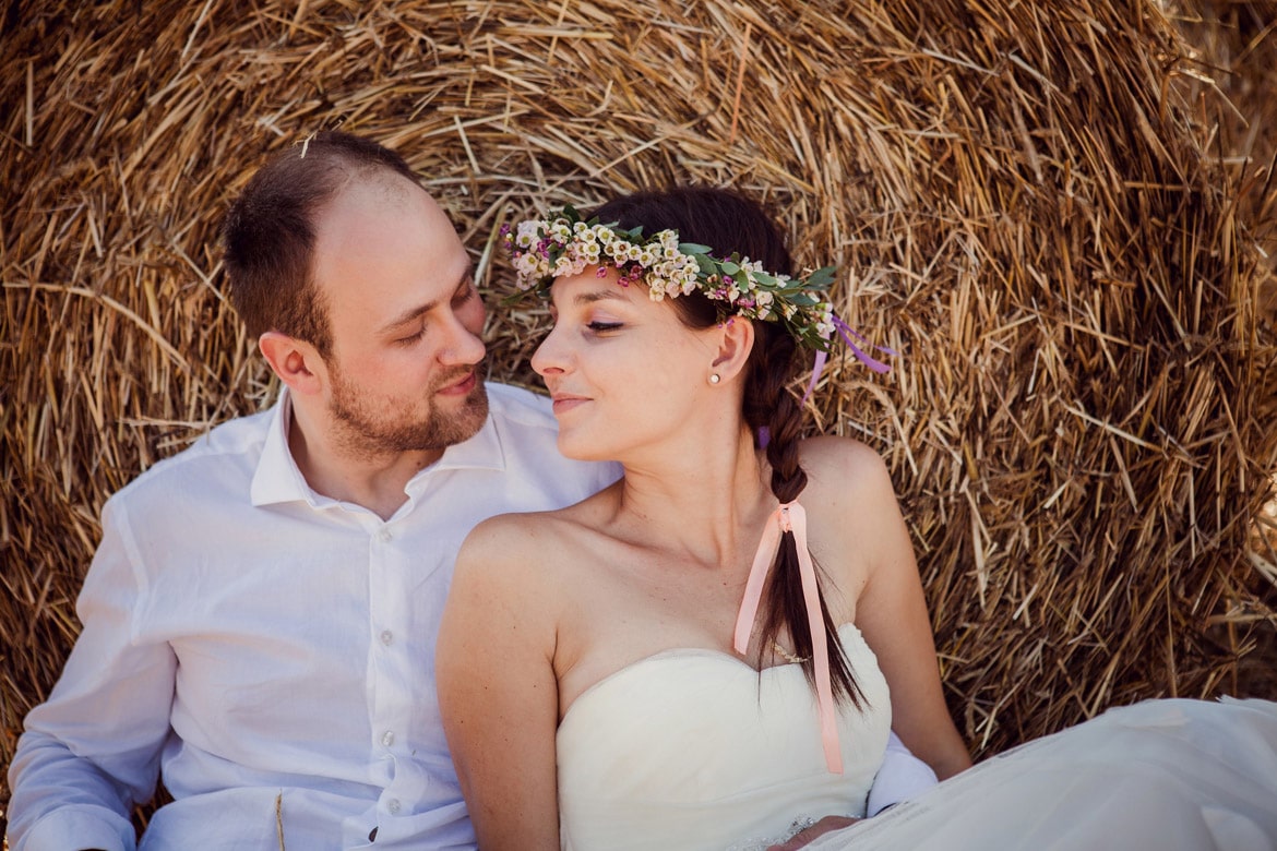 zdjęcia ślubne na polu
