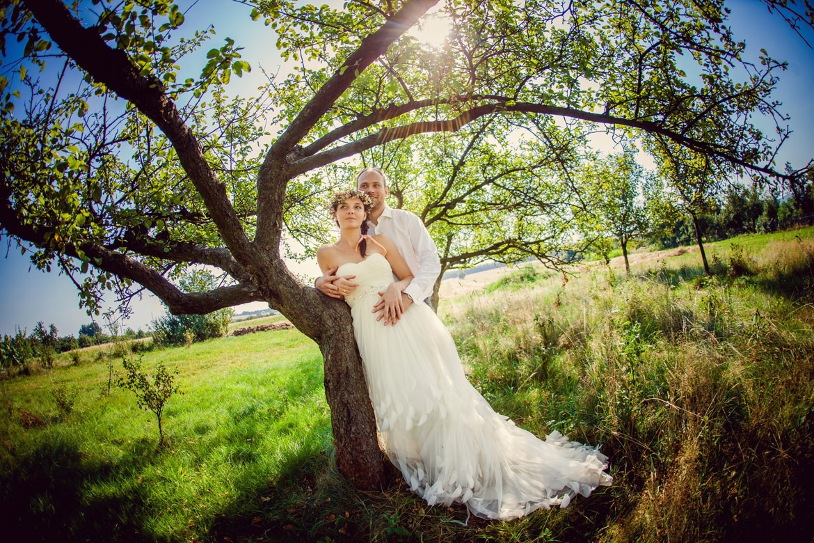 plener ślubny w słonecznikach