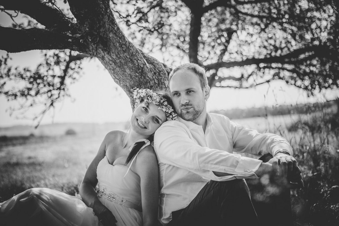 plener ślubny w słonecznikach