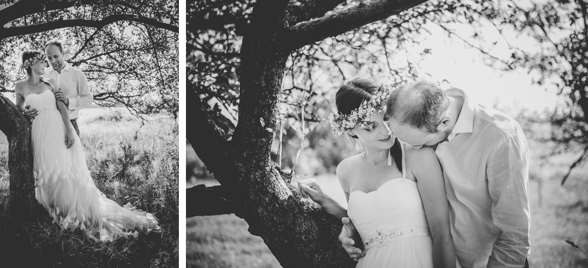 plener ślubny w słonecznikach