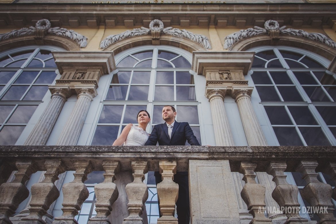 zdjęcia ślubne w wiedniu