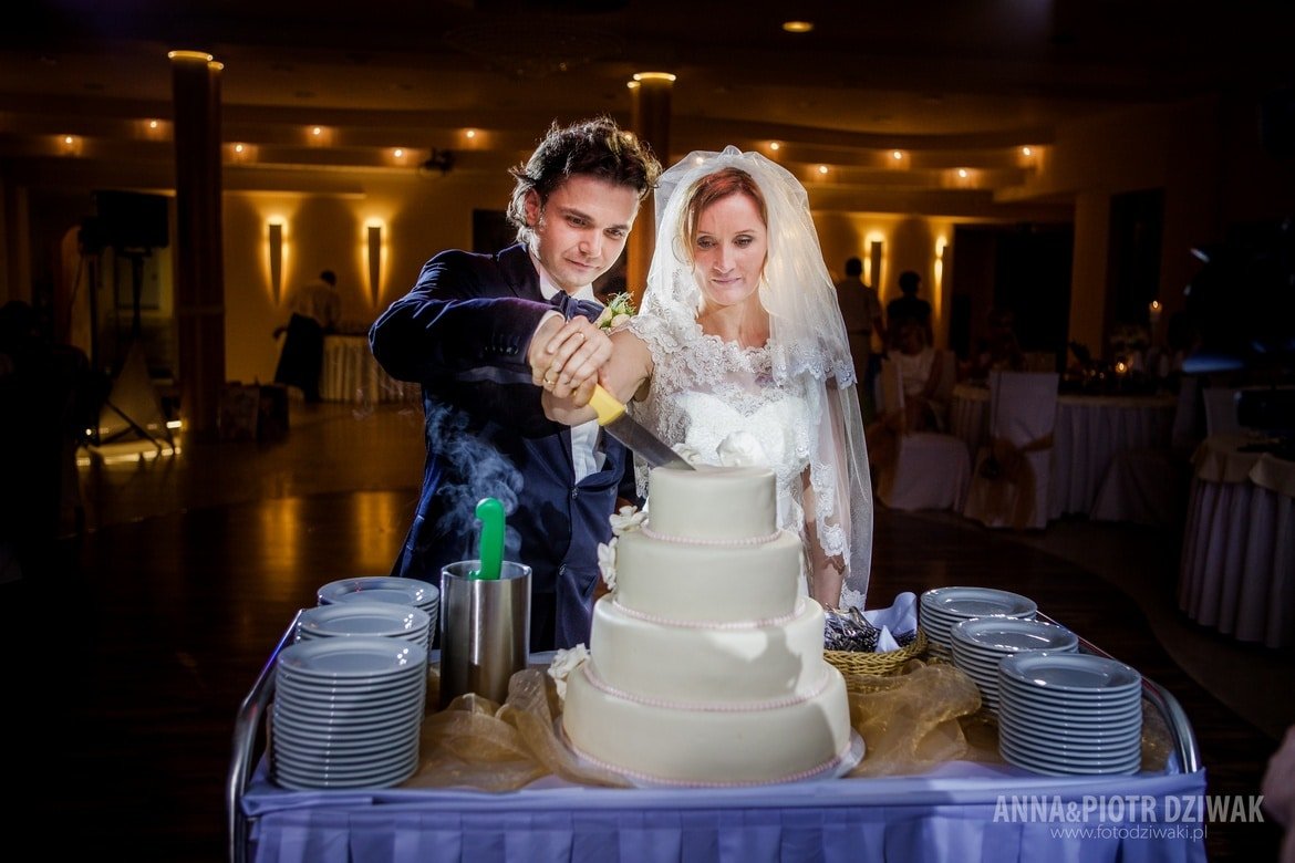 fotografia ślubna śląsk