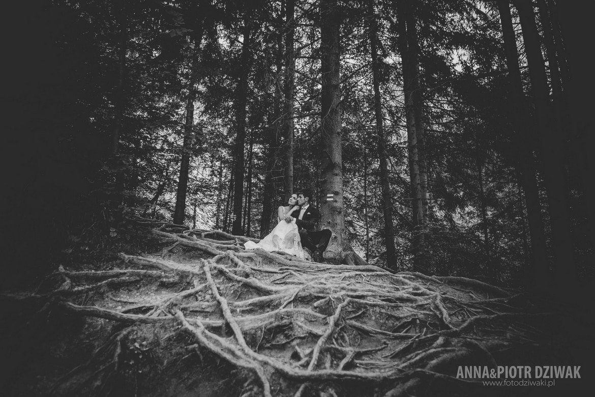 Zdjęcia Ślubne Zakopane