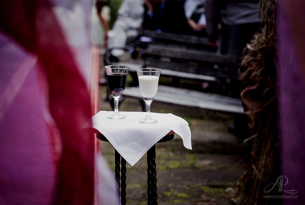 ania_i_martin_rycerski_slub_039