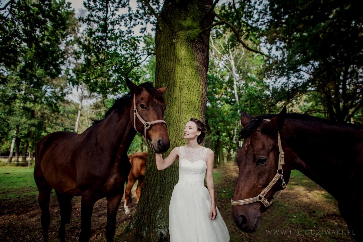 Ewelia i Karol sesja plenerowa w statninie_001