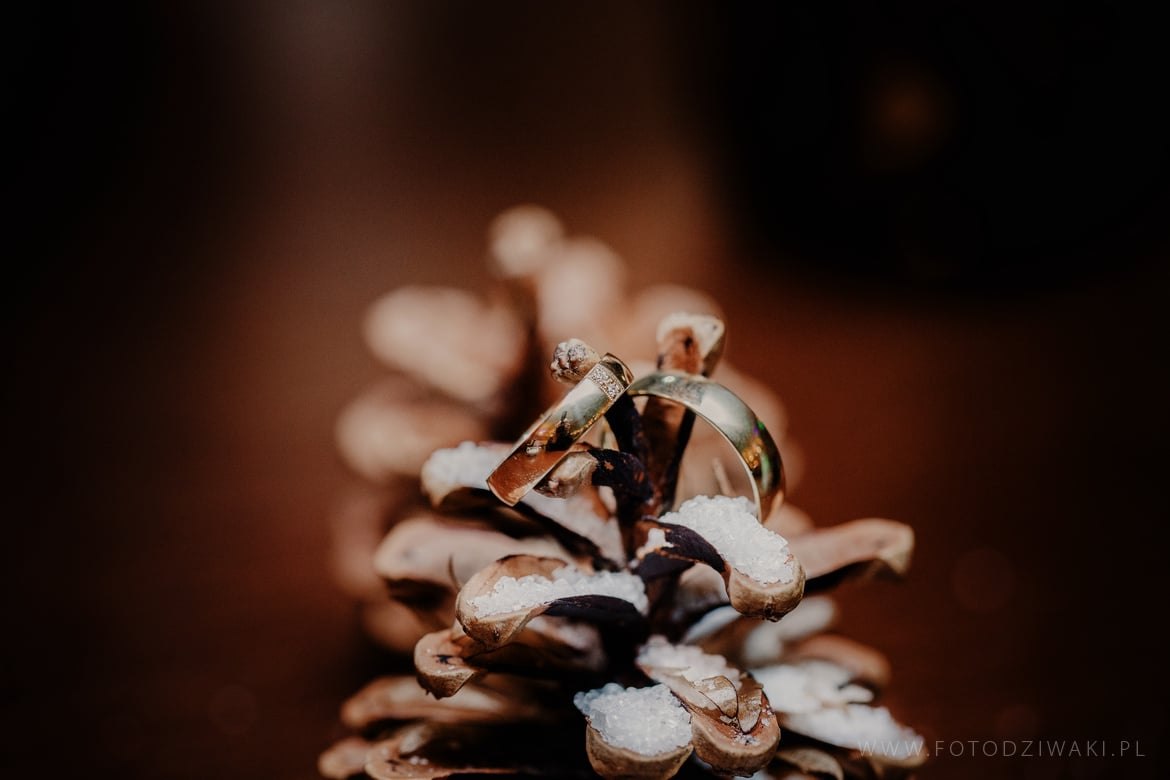 Natalia i Artur zimowy ślub_008