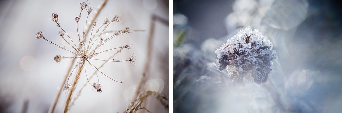 Natalia i Artur zimowy ślub_017