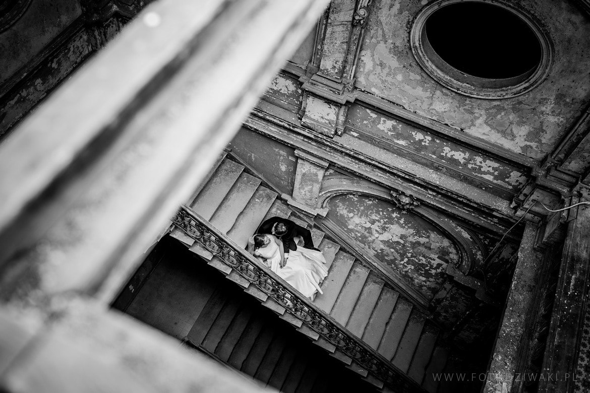 Kasia i Karol plener krowiarki_006