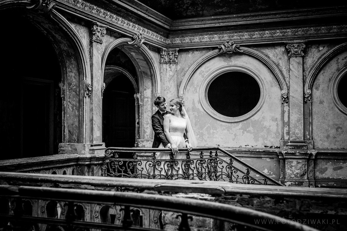 Kasia i Karol plener krowiarki_007