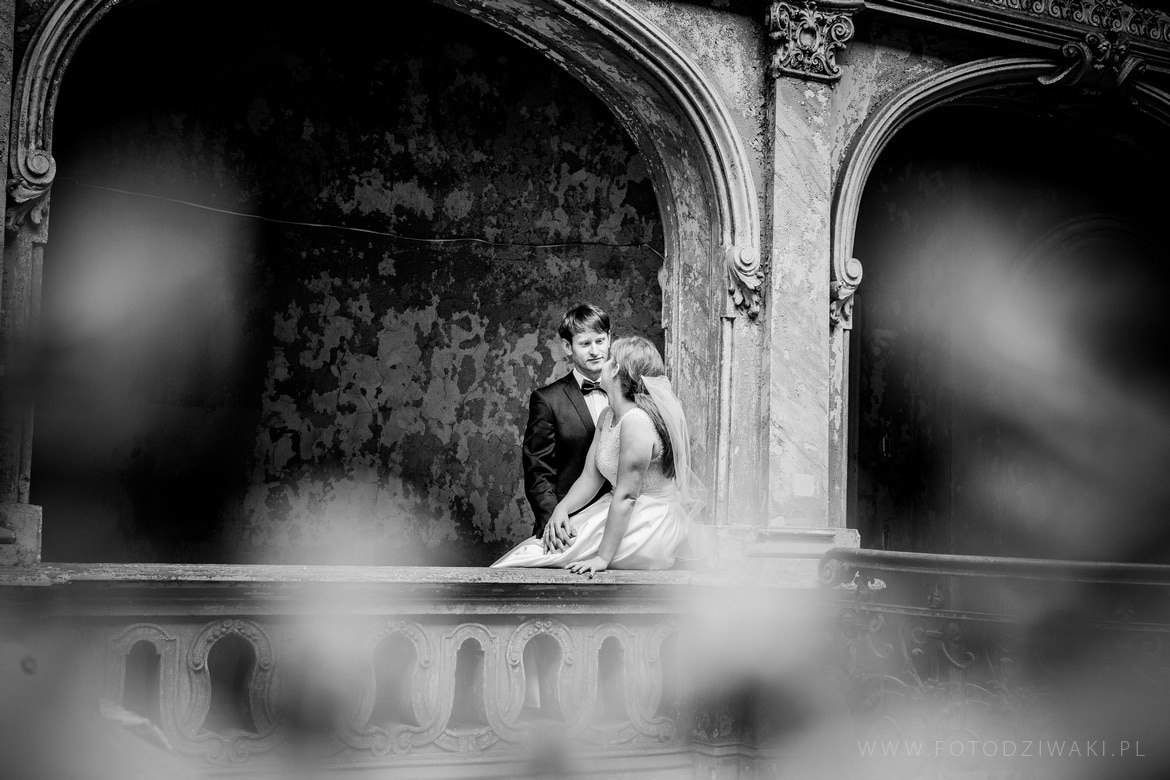 Kasia i Karol plener krowiarki_009