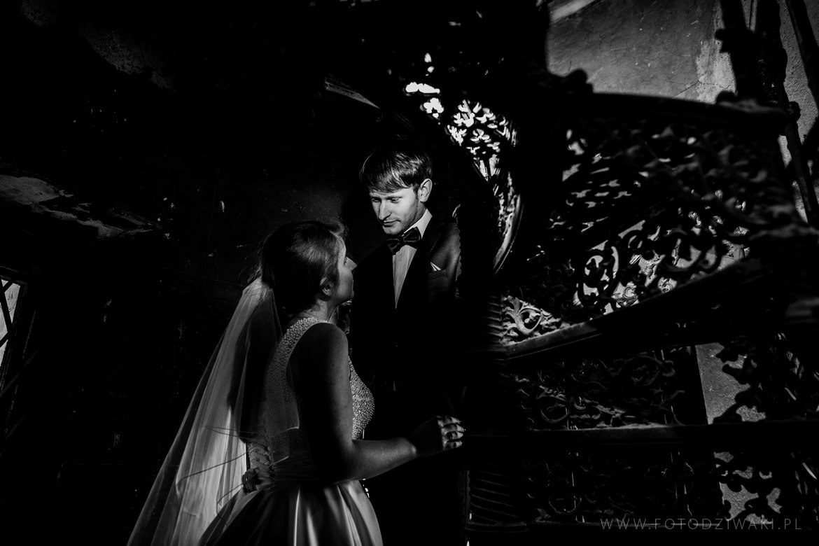 Kasia i Karol plener krowiarki_011