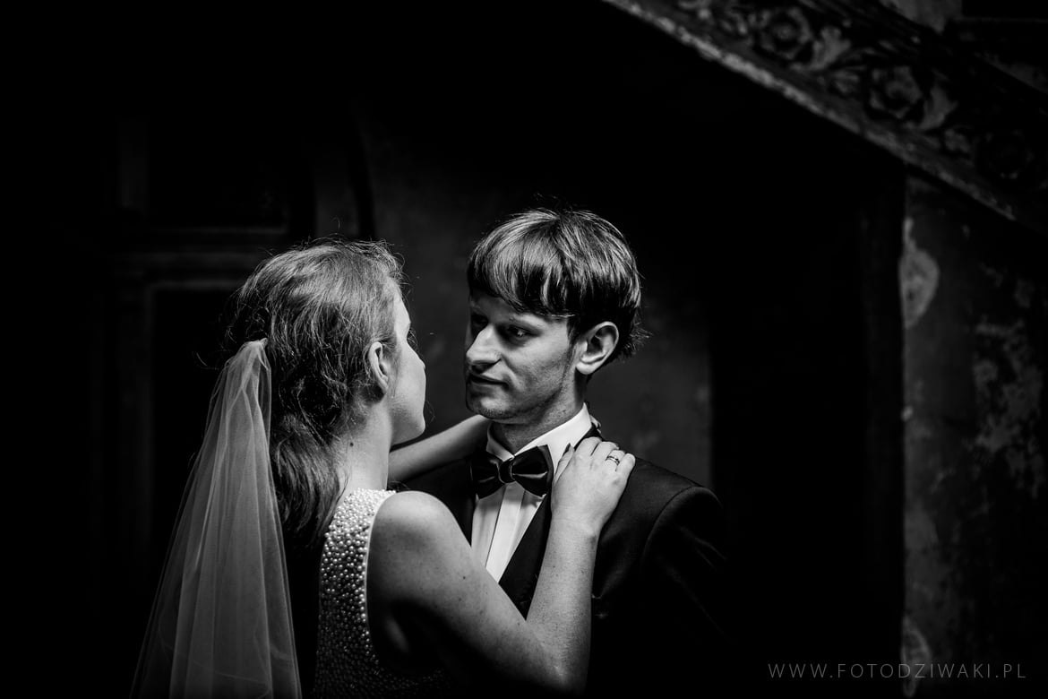 Kasia i Karol plener krowiarki_016