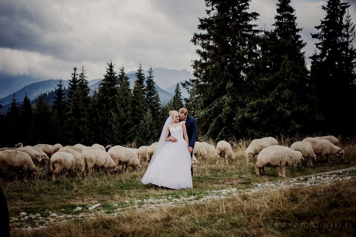 Plener Slubny w Tatrach Ania i Marcin_020