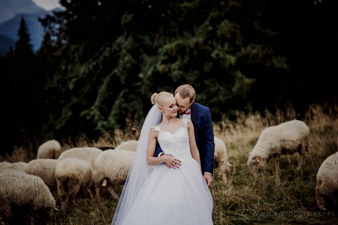 Plener Slubny w Tatrach Ania i Marcin_021