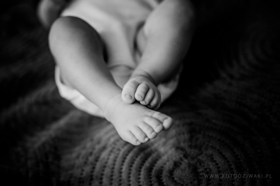 sesja rodzinna katowice