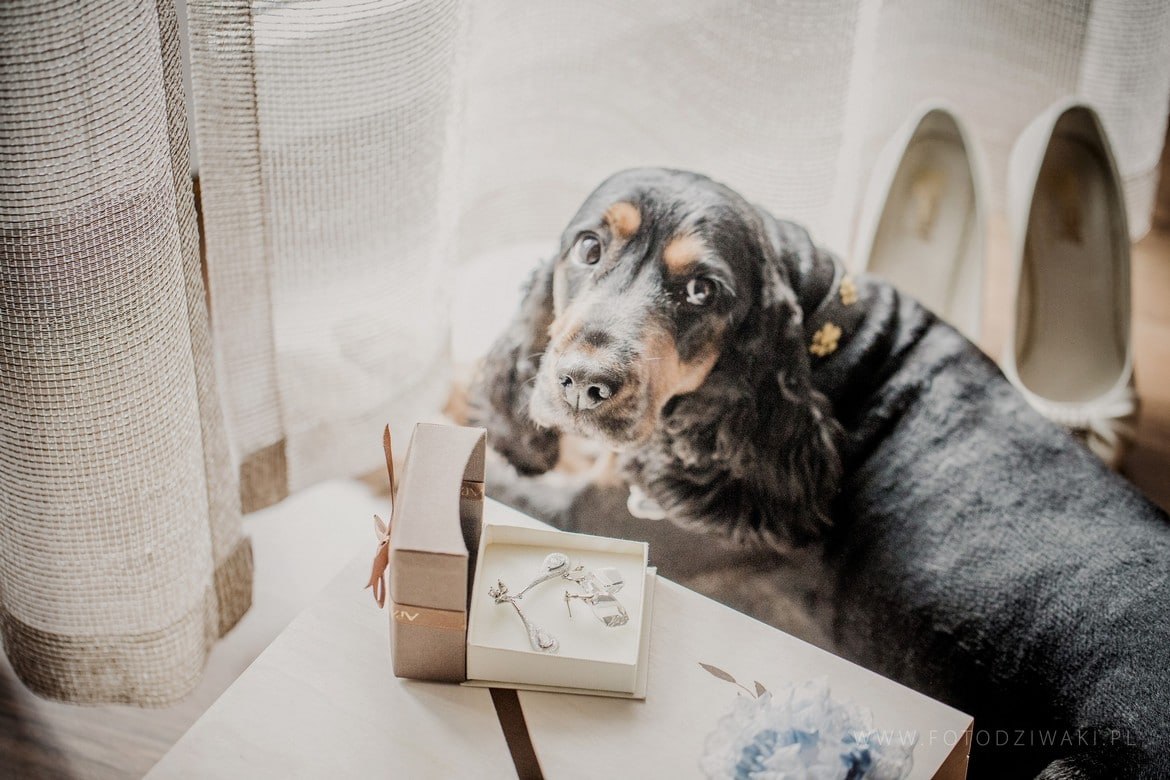 Ania i Arek fotografia slubna jastrzebie_001