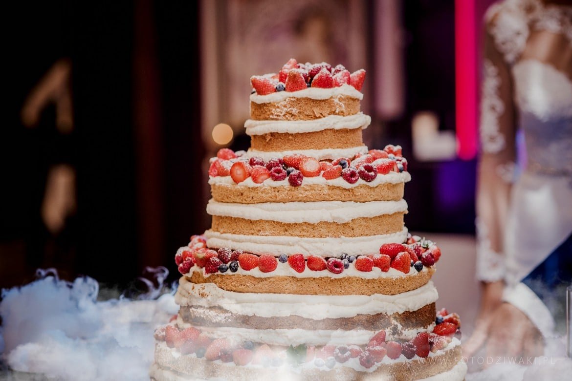 Ania i Arek fotografia slubna jastrzebie_101