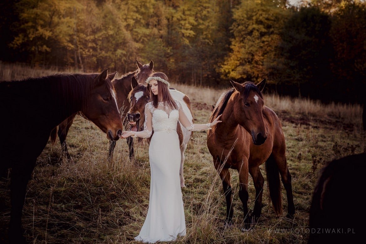 Ania i Arek plener na koniach_013