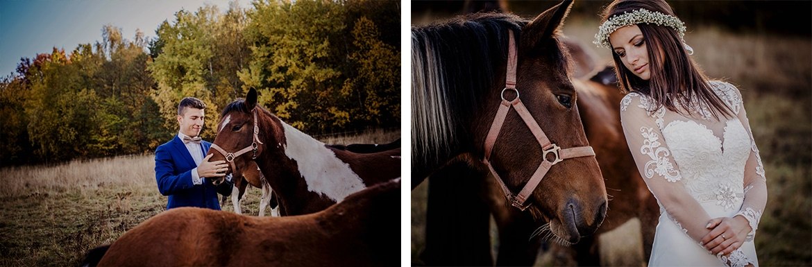 Ania i Arek plener na koniach_014