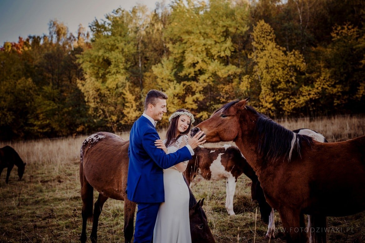 Ania i Arek plener na koniach_015