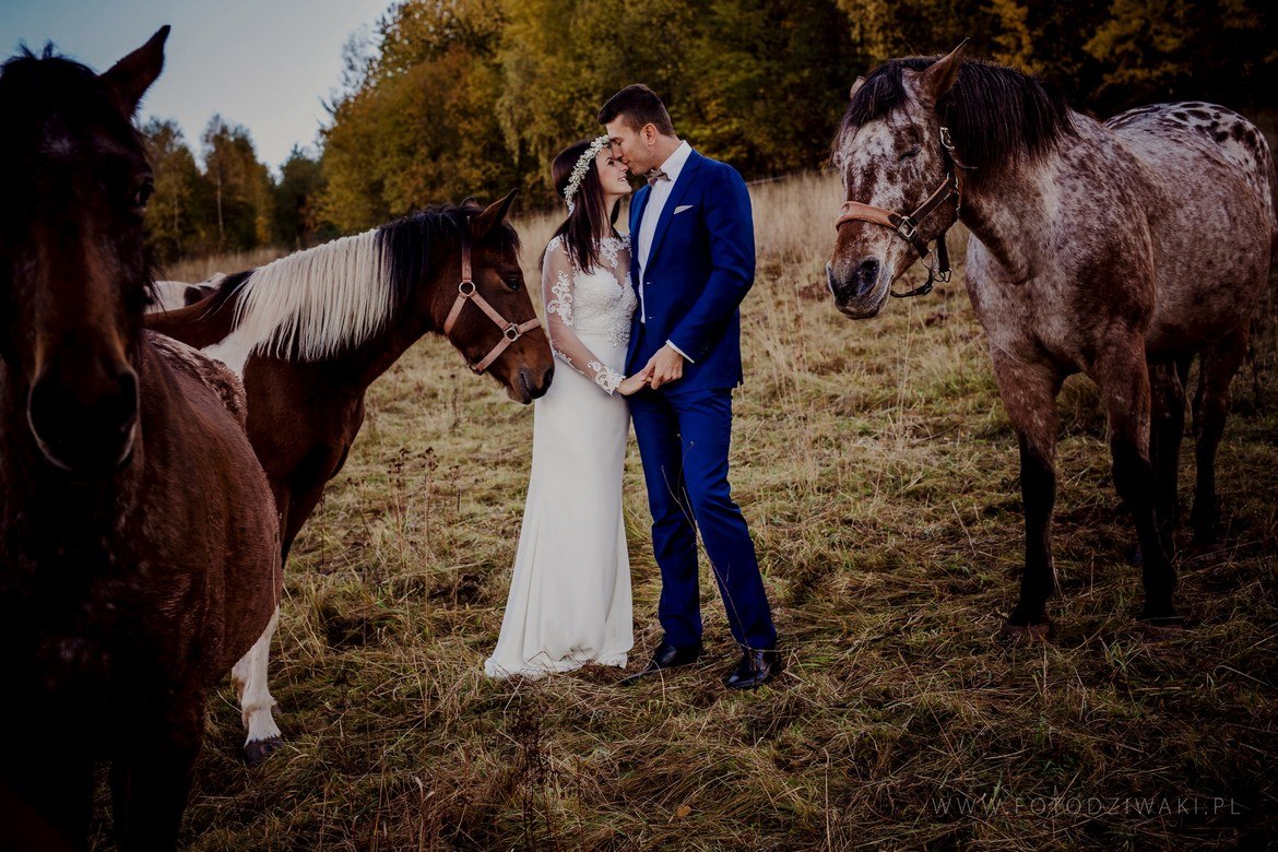 Ania i Arek plener na koniach_018