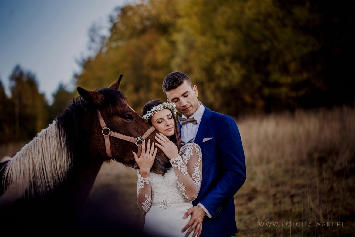 Ania i Arek plener na koniach_019