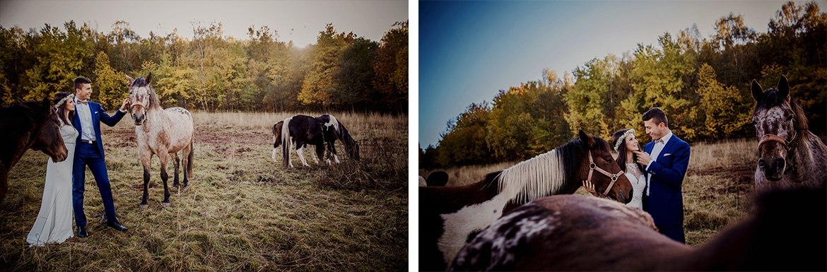 Ania i Arek plener na koniach_020