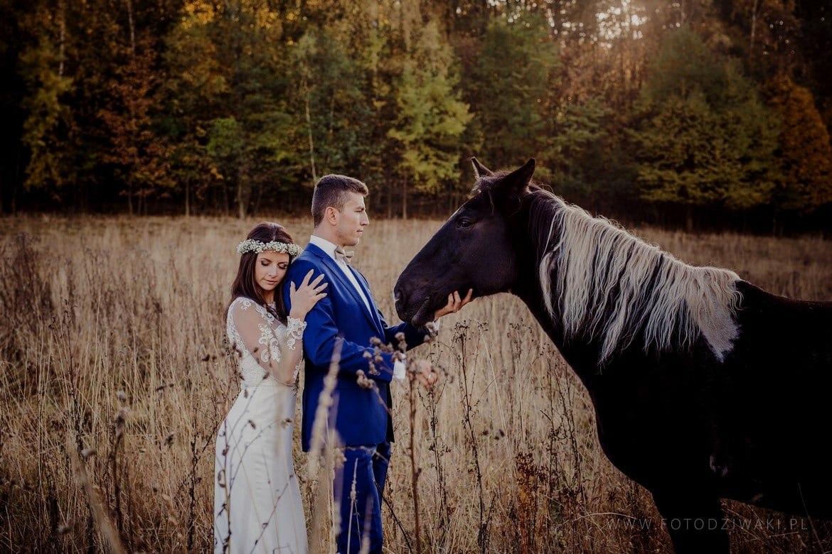 Ania i Arek plener na koniach_023