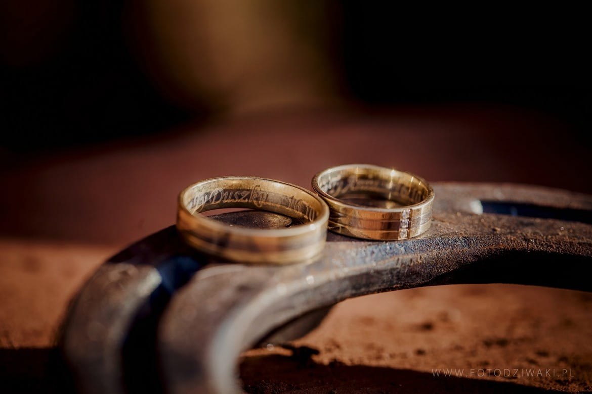 Ania i Arek plener na koniach_032