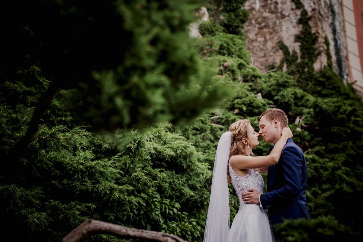 plener slubny w ksiazu