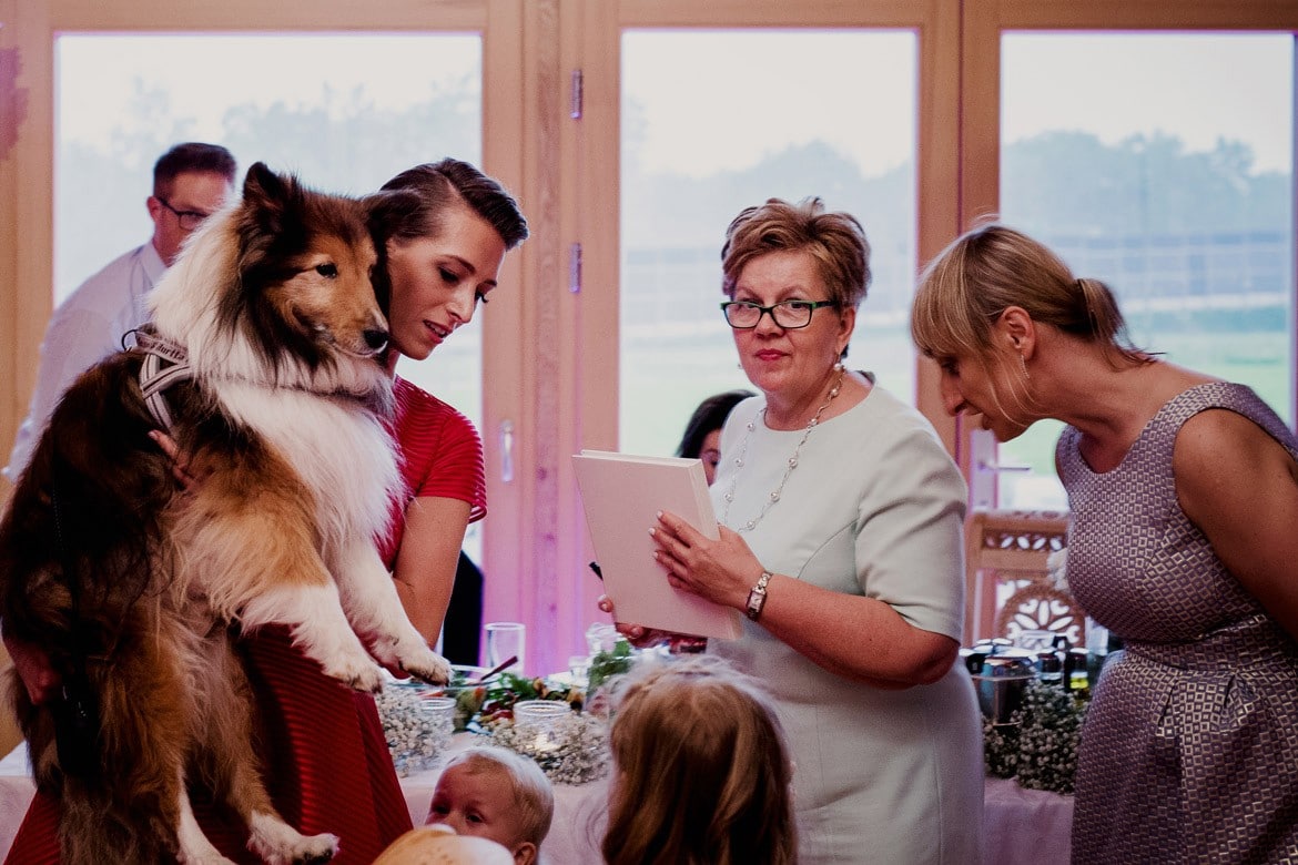 wesele w dworku goralskim