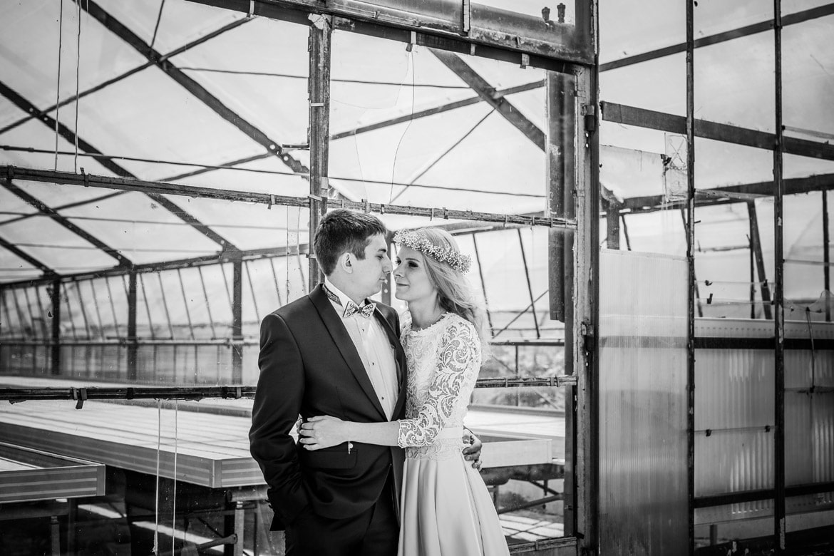 plener ślubny w szklarni