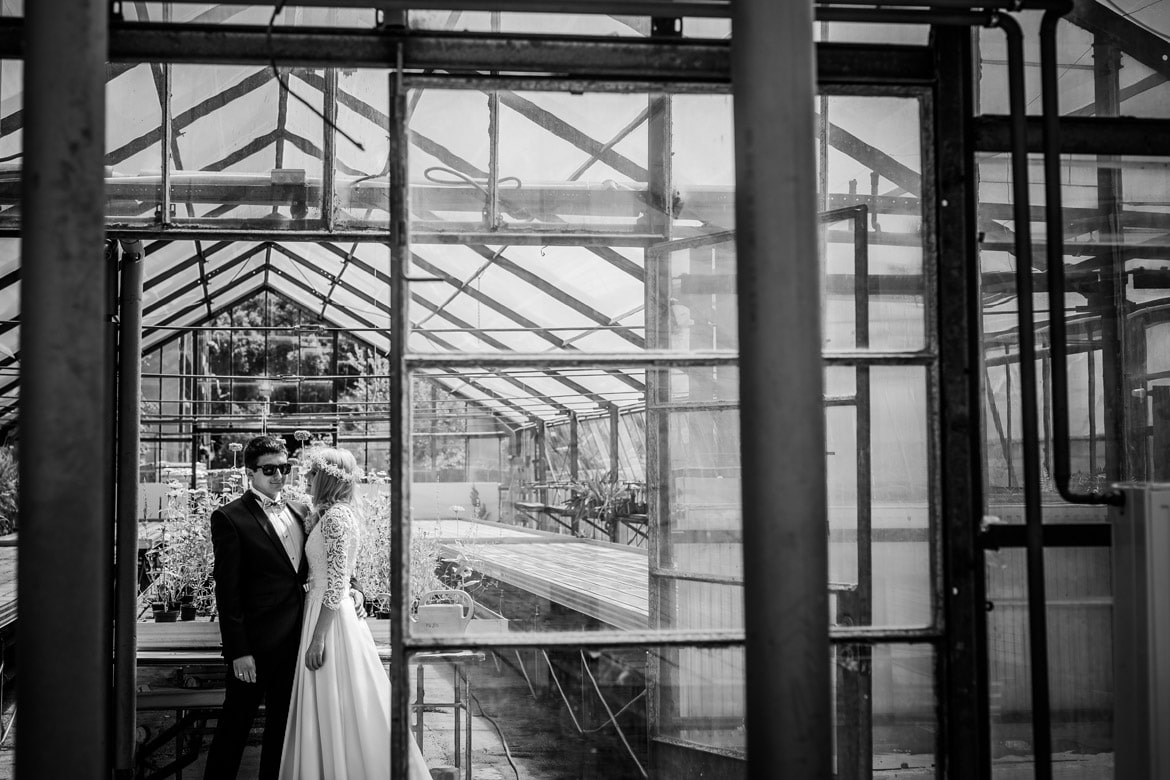 plener ślubny w szklarni