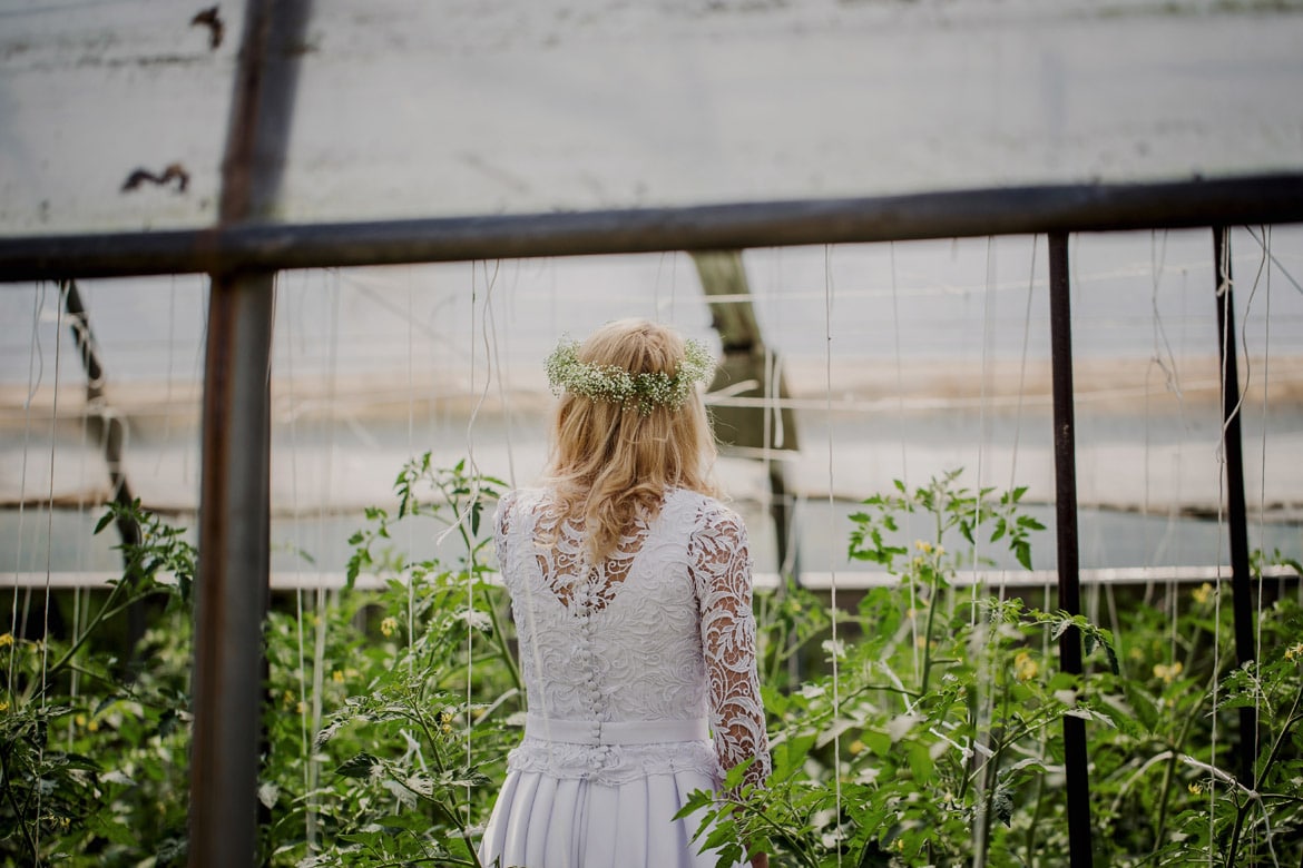 plener ślubny w szklarni