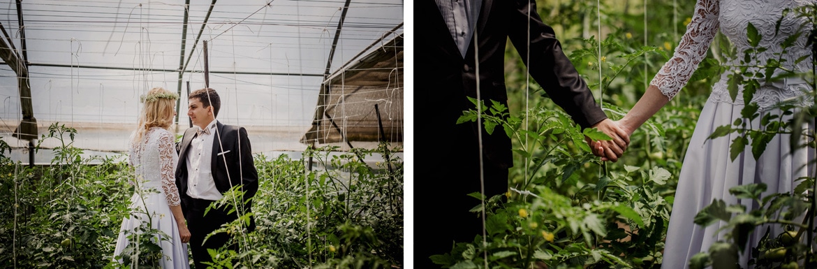 plener ślubny w szklarni