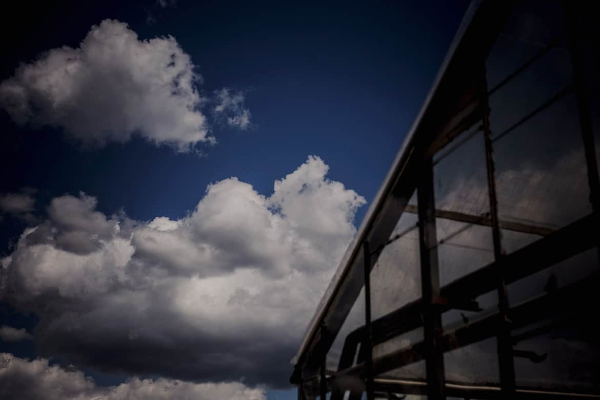 plener ślubny w szklarni