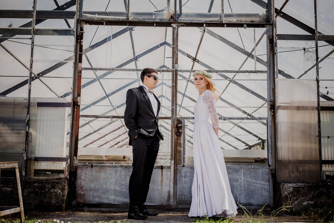 plener ślubny w szklarni