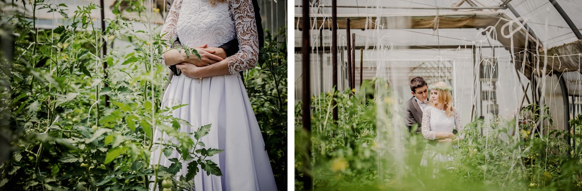 plener ślubny w szklarni