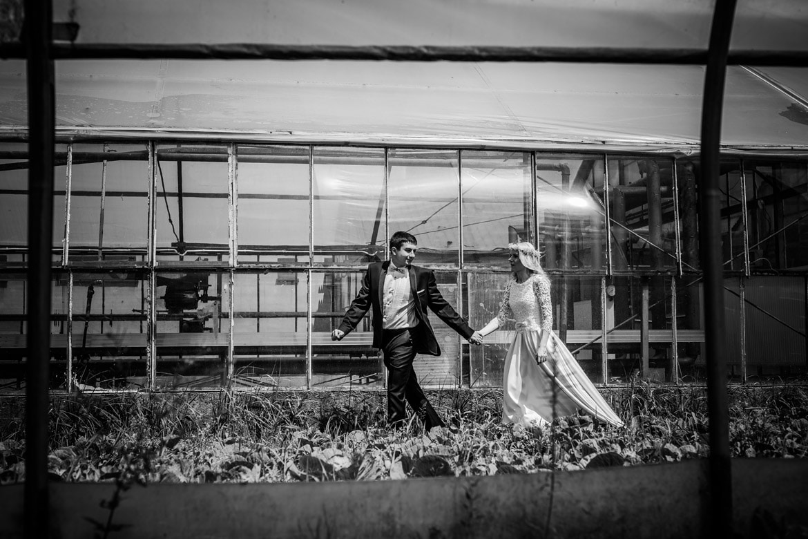 plener ślubny w szklarni