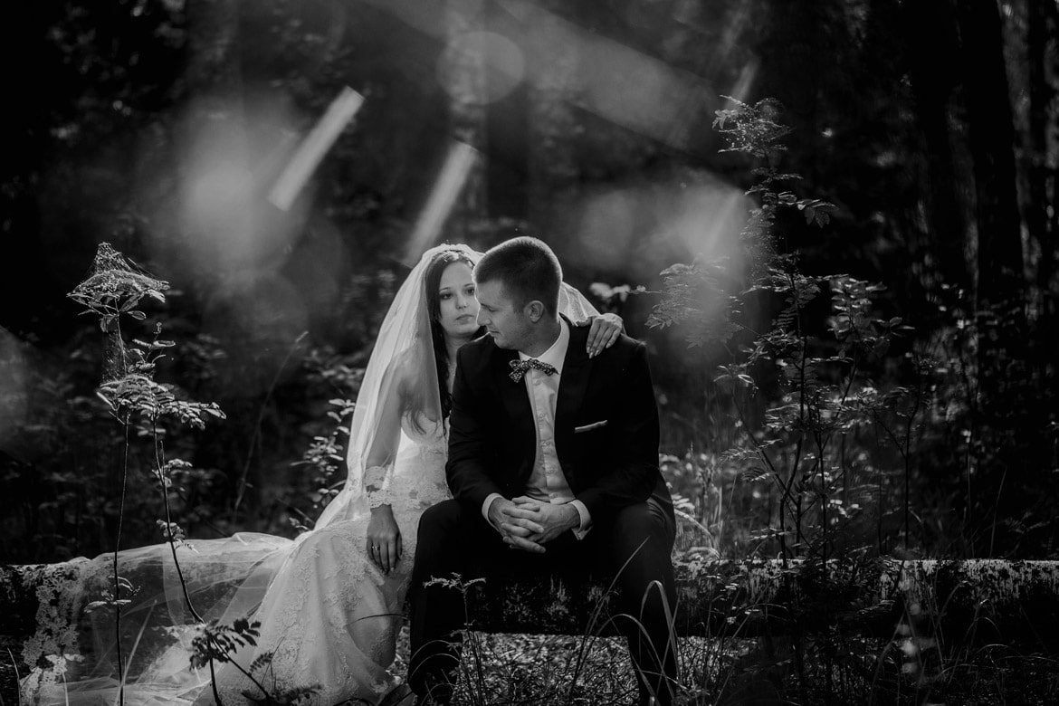 plener ślubny na mazurach