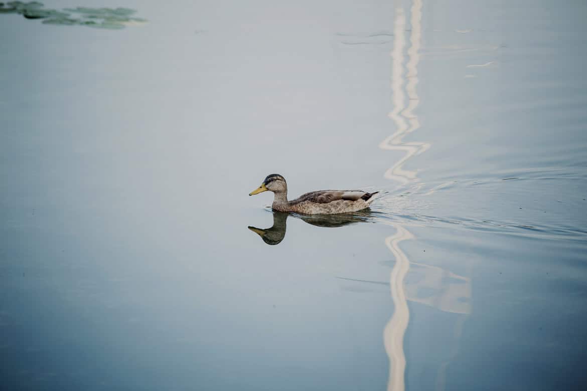fotograf slubny olsztyn